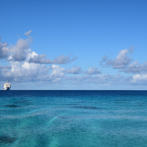 中国老太牲交视频
