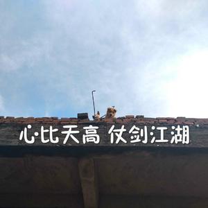 中国老太牲交视频
